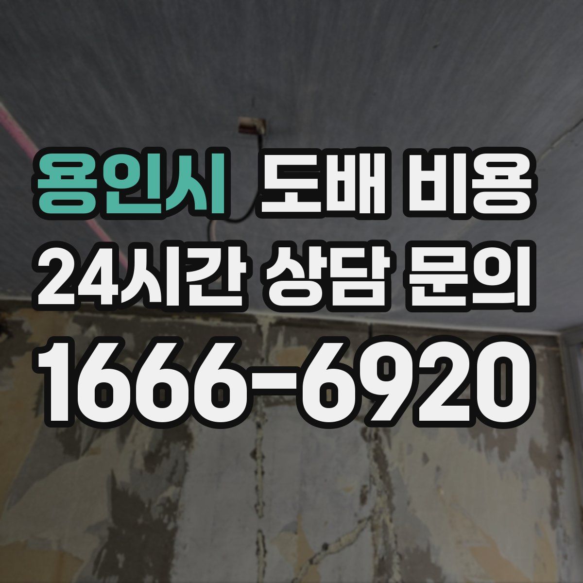 용인시 도배 비용