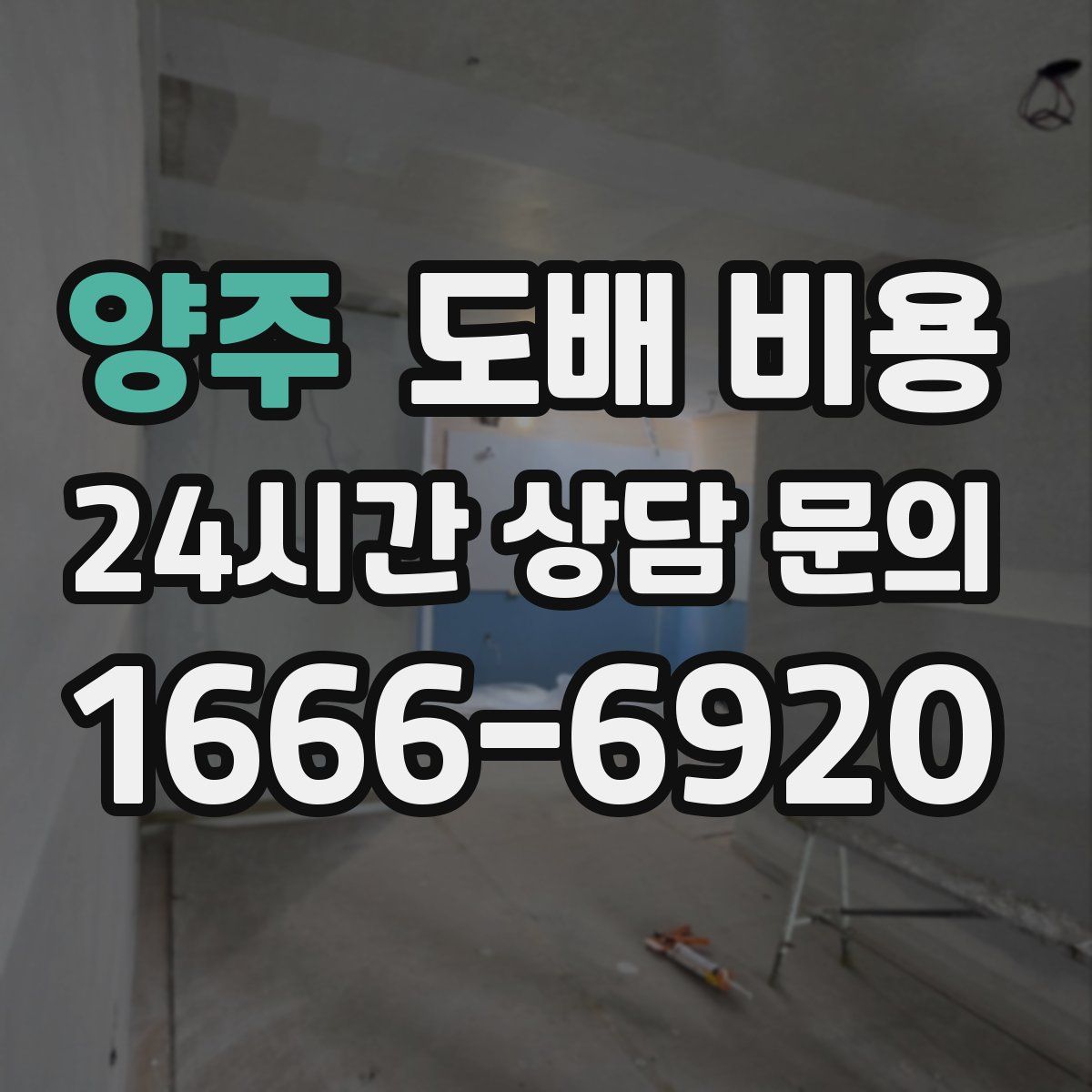 양주 도배 비용
