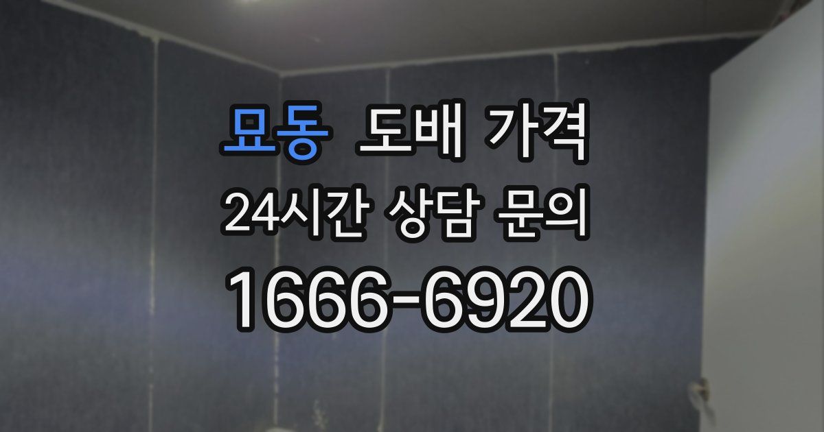 묘동 도배 가격