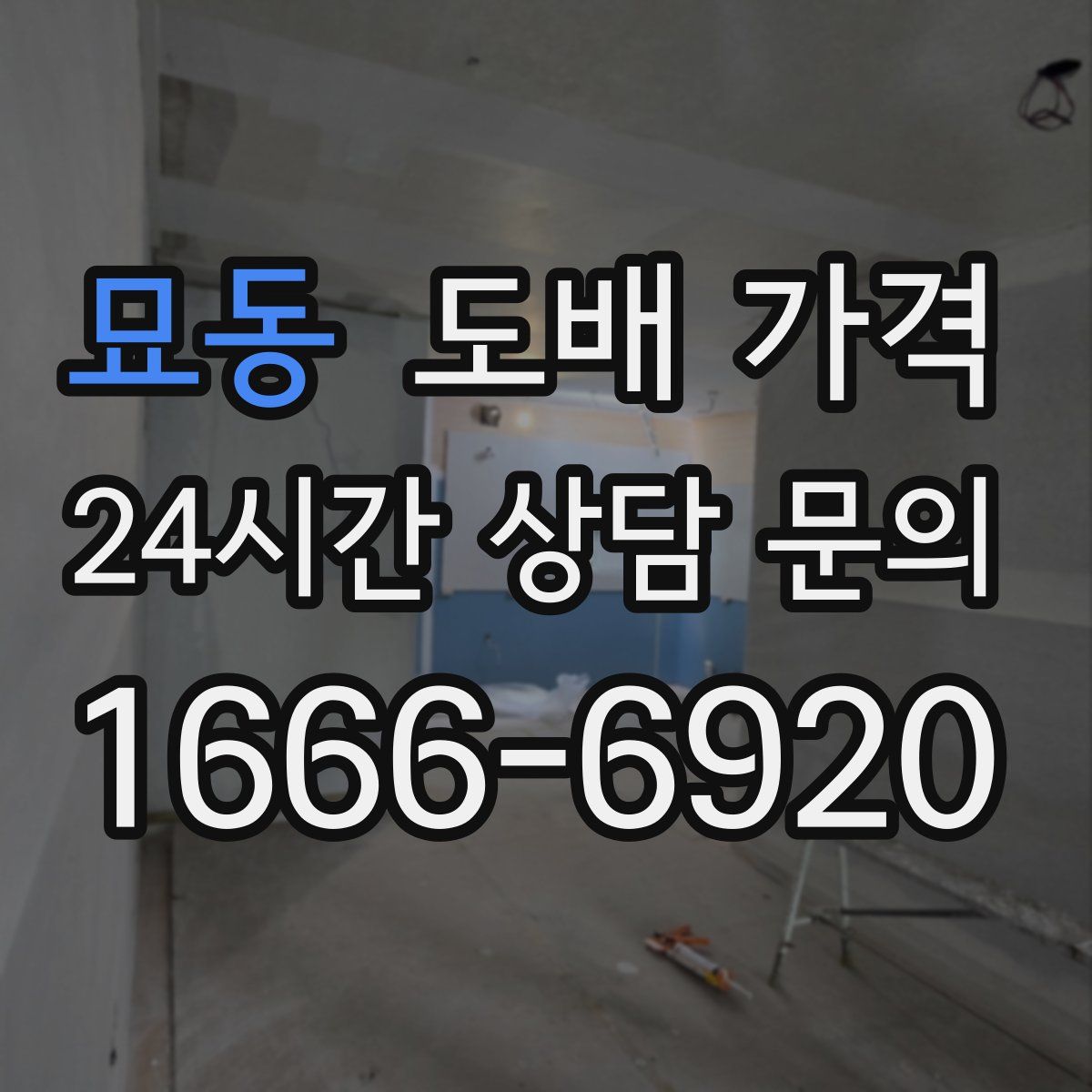 묘동 도배 가격