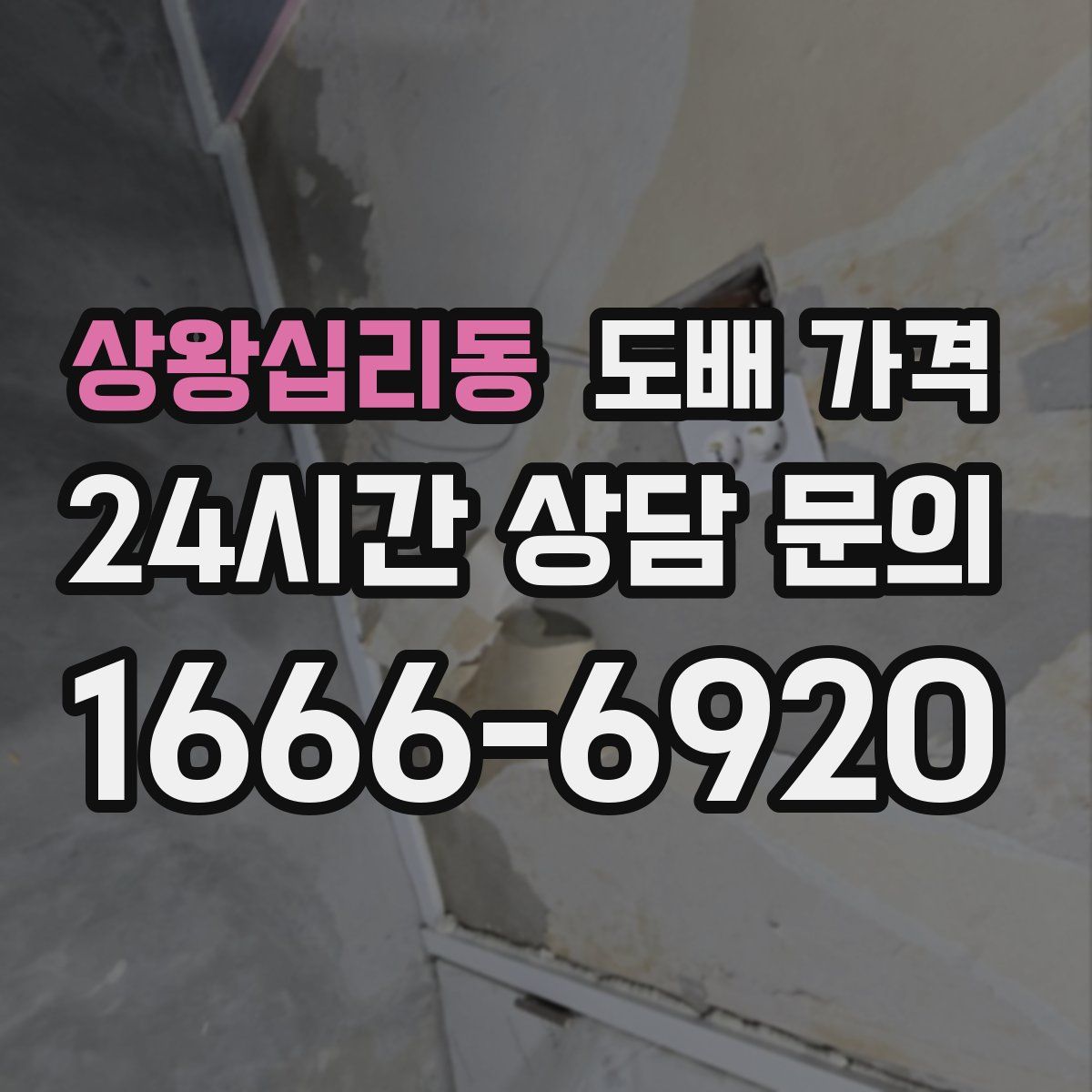 상왕십리동 도배 가격