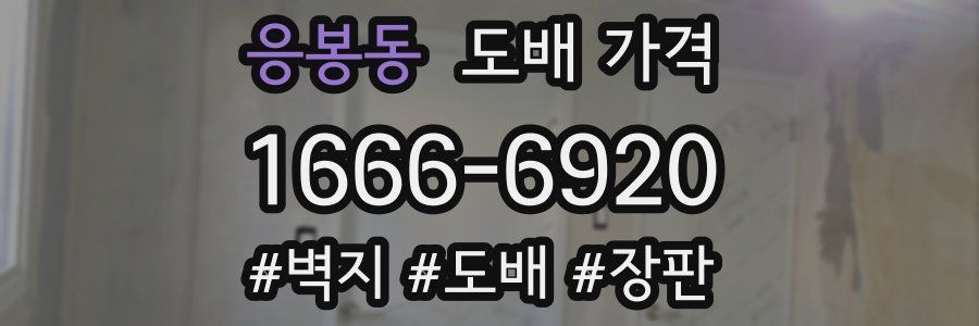 응봉동 도배 가격