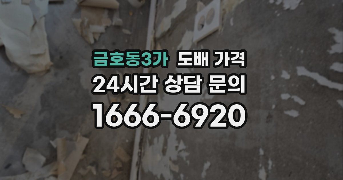 금호동3가 도배 가격