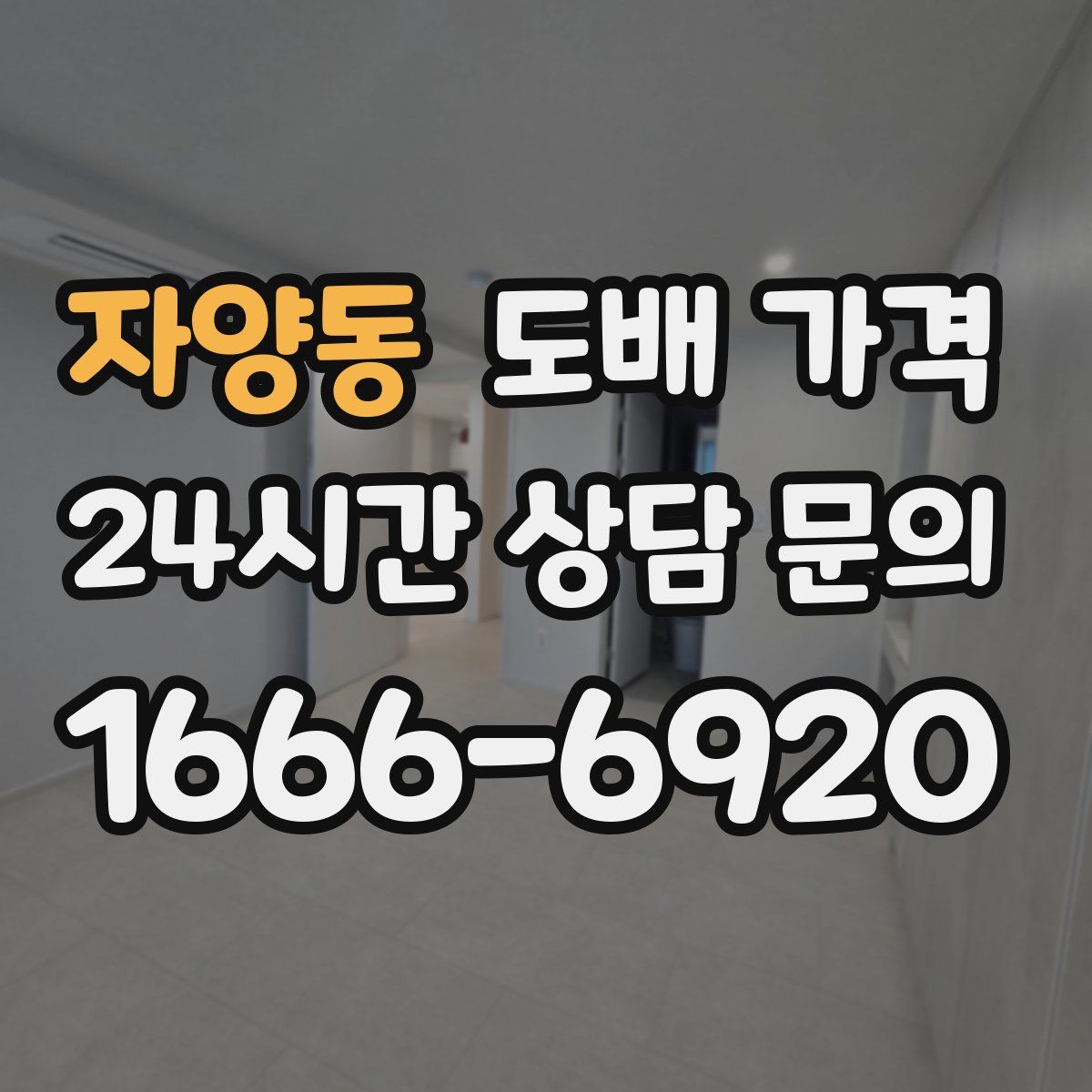 자양동 도배 가격