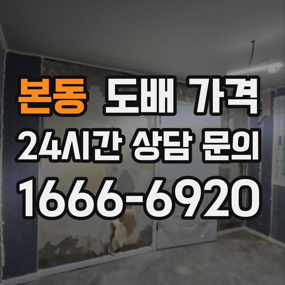 본동 도배 가격