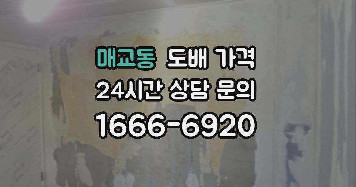 매교동 도배 가격