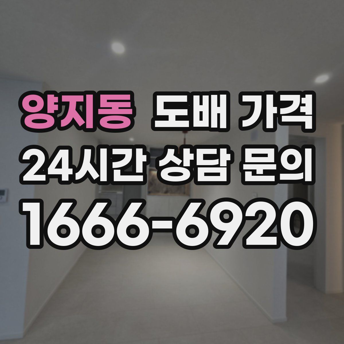 양지동 도배 가격