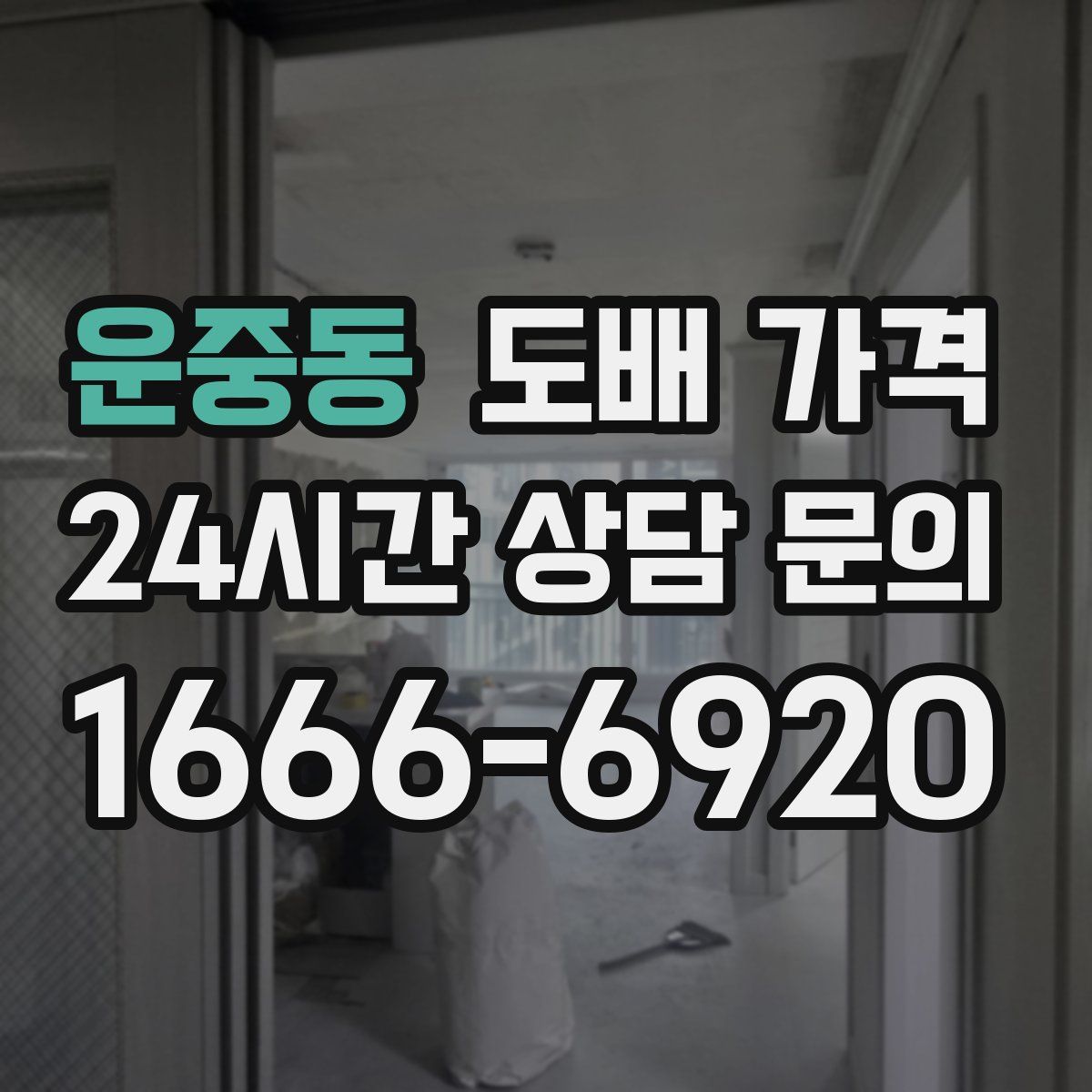 운중동 도배 가격