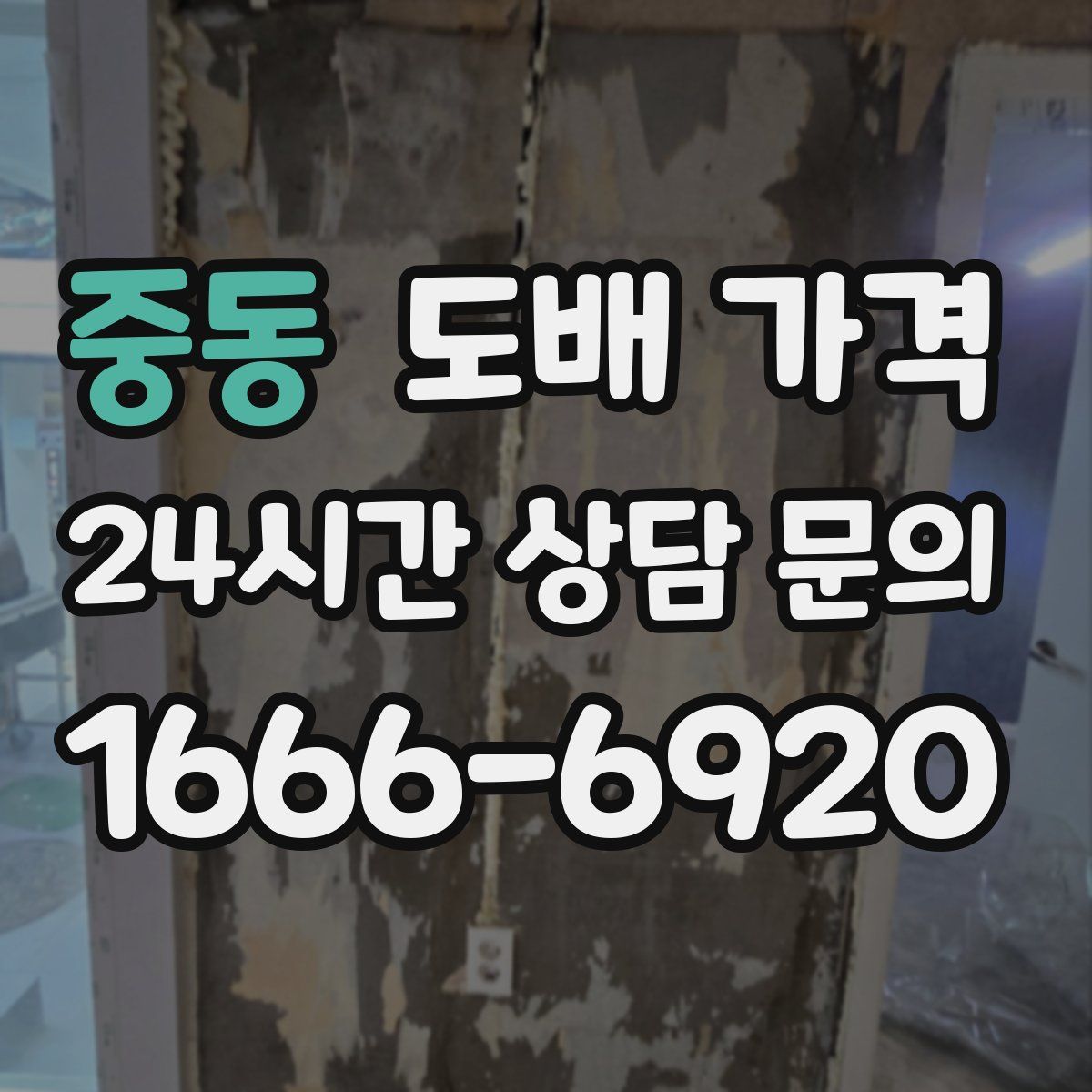 중동 도배 가격
