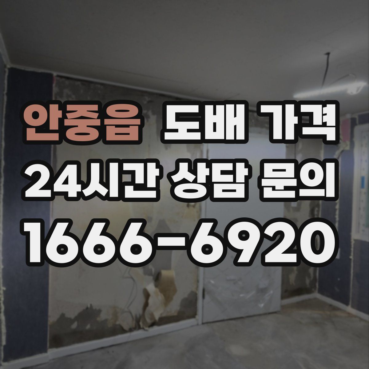 안중읍 도배 가격