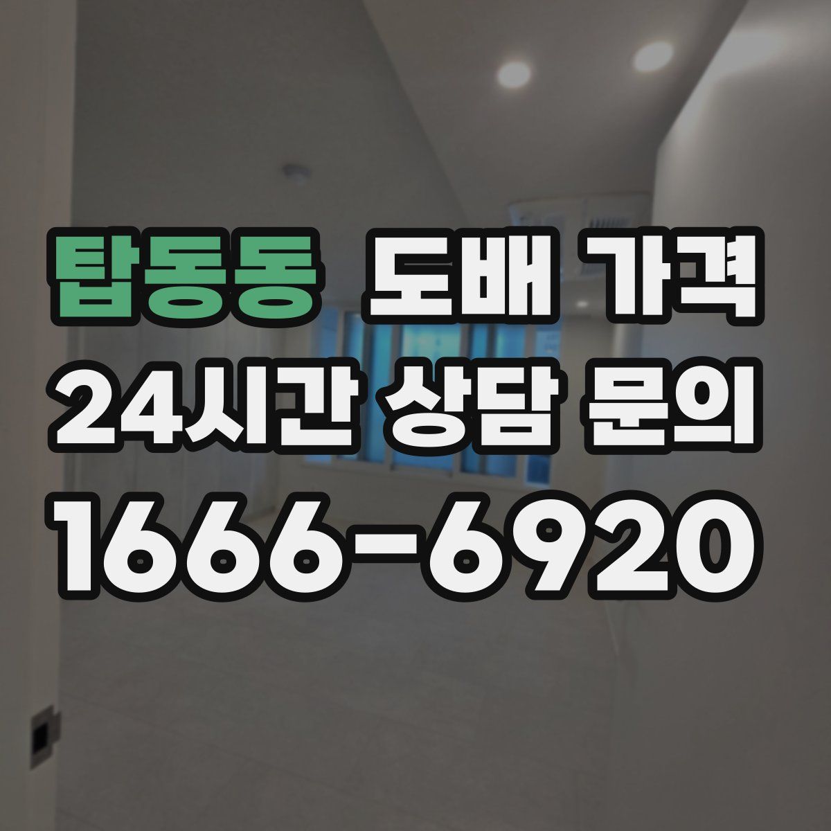 탑동동 도배 가격