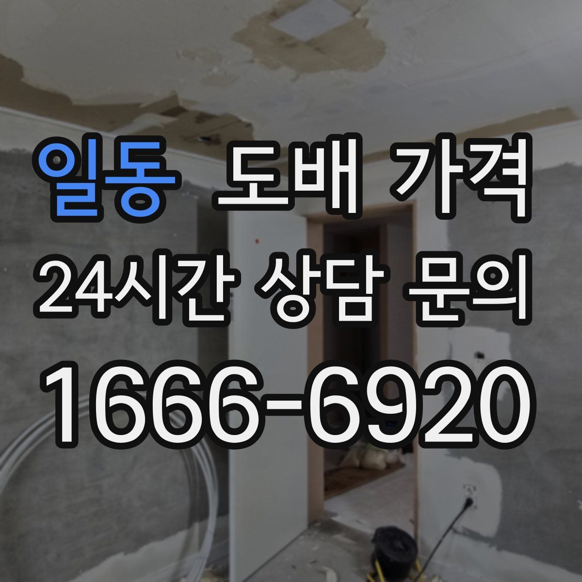 일동 도배 가격