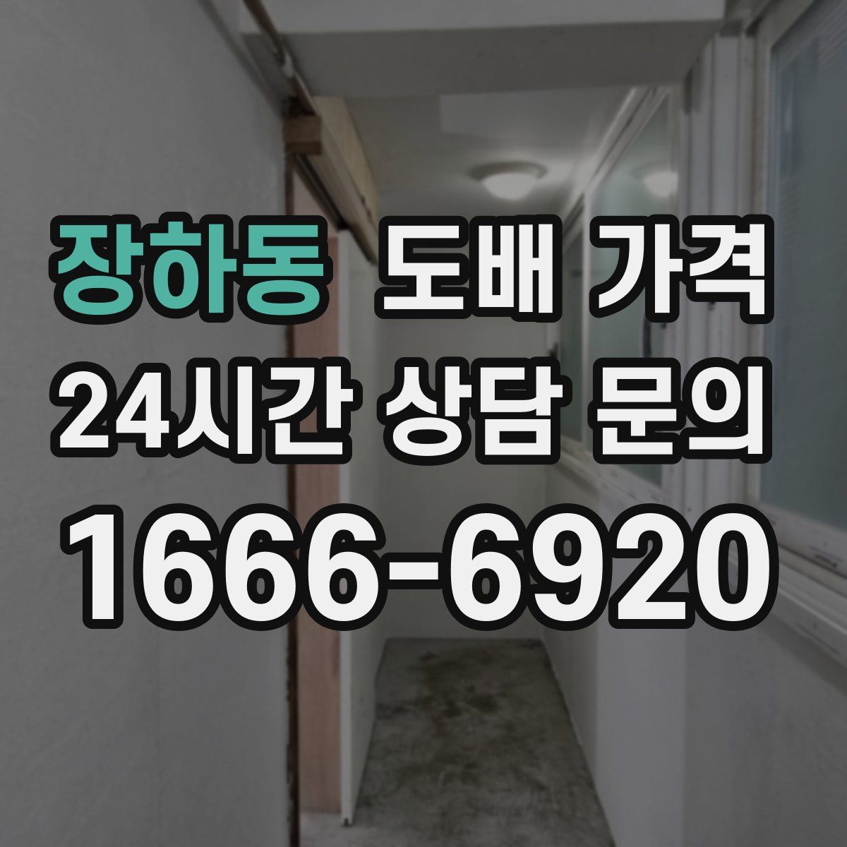 장하동 도배 가격