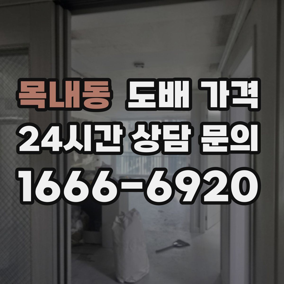 목내동 도배 가격
