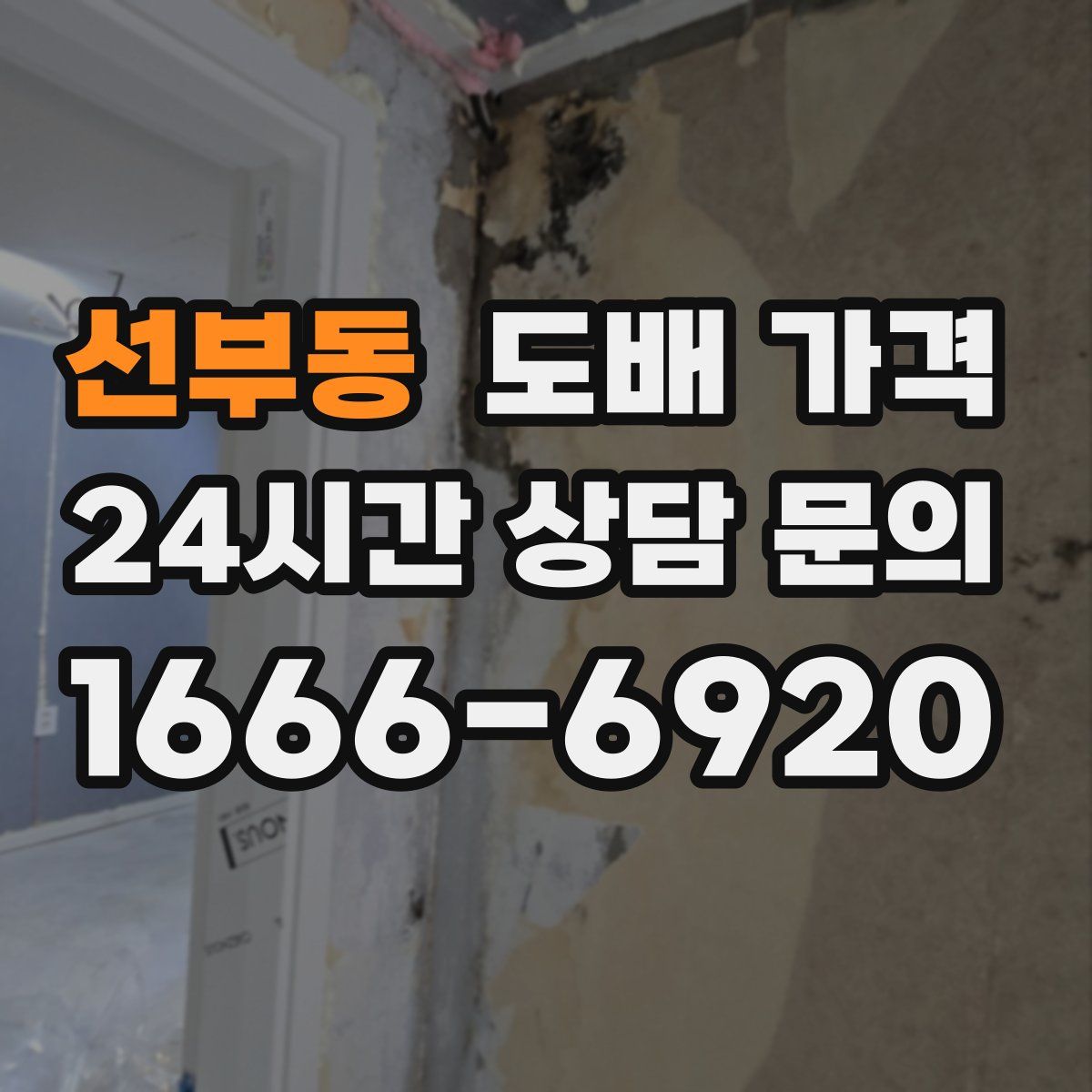 선부동 도배 가격