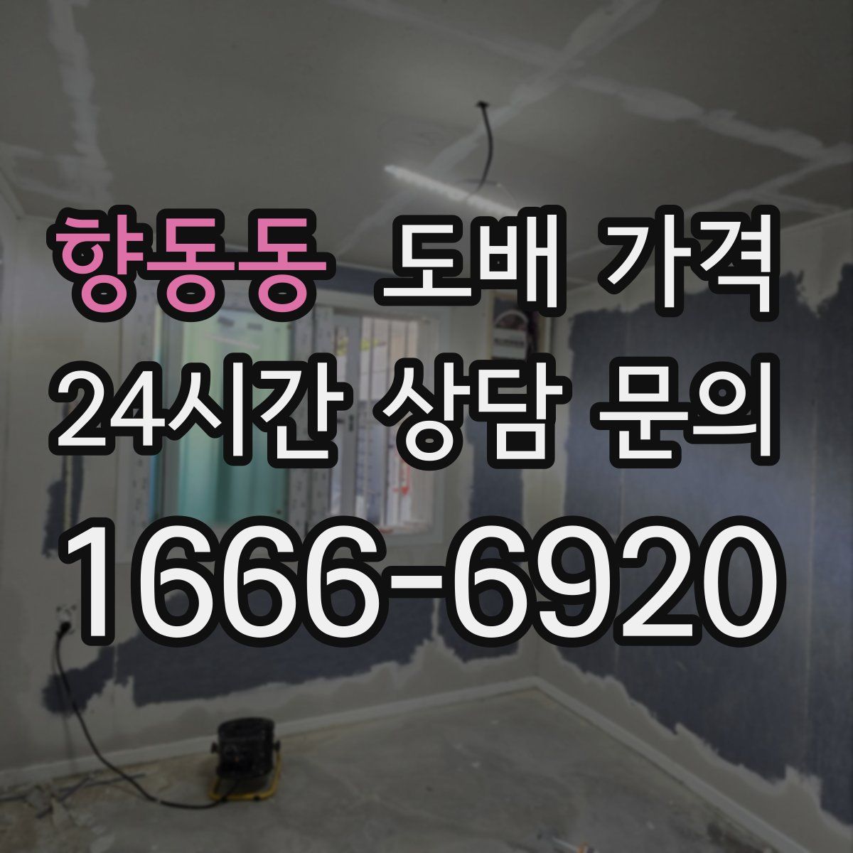향동동 도배 가격