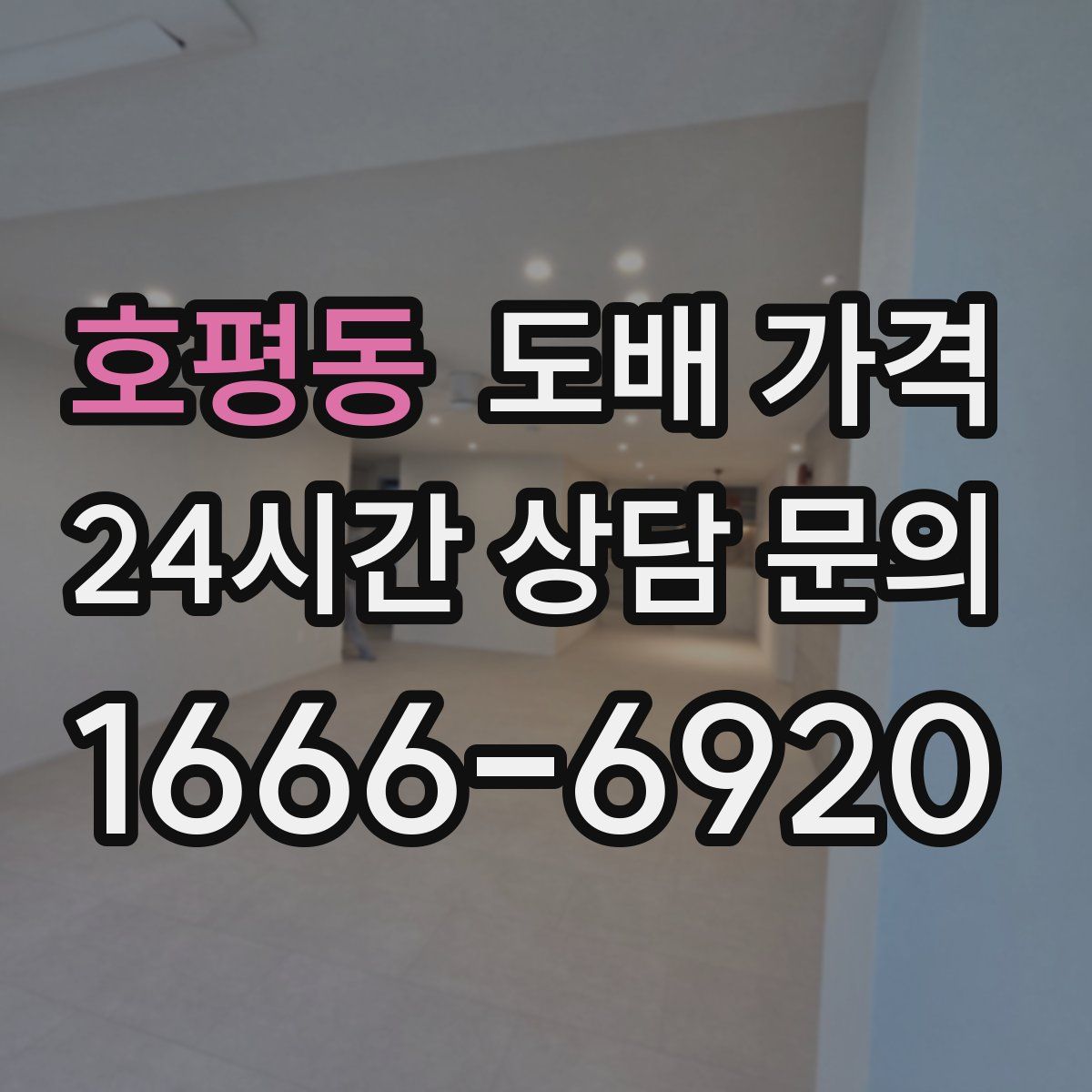 호평동 도배 가격