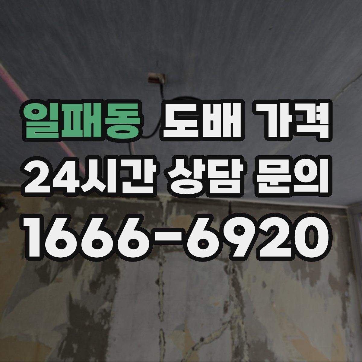 일패동 도배 가격