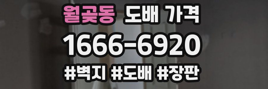 월곶동 도배 가격