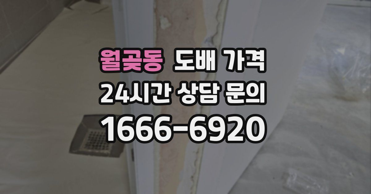 월곶동 도배 가격