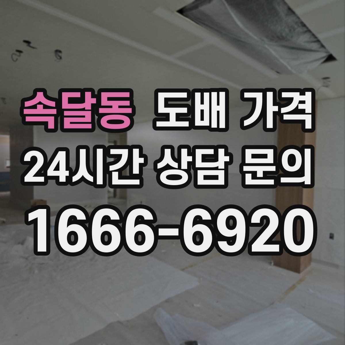 속달동 도배 가격