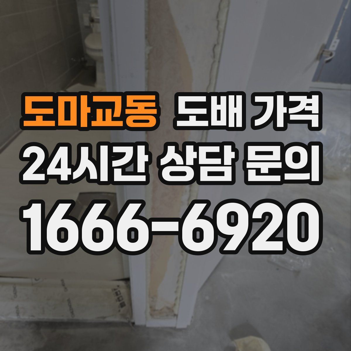 도마교동 도배 가격