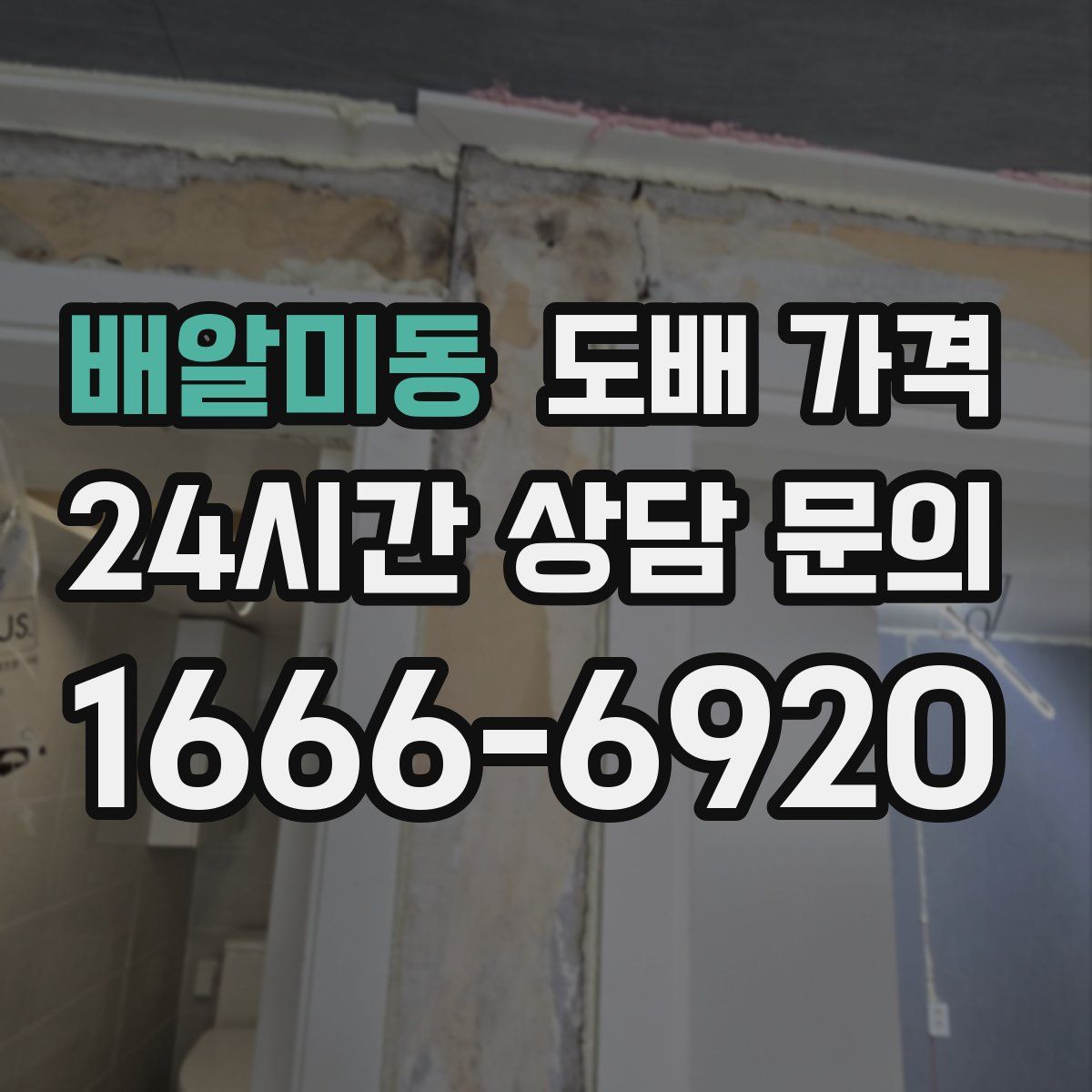 배알미동 도배 가격