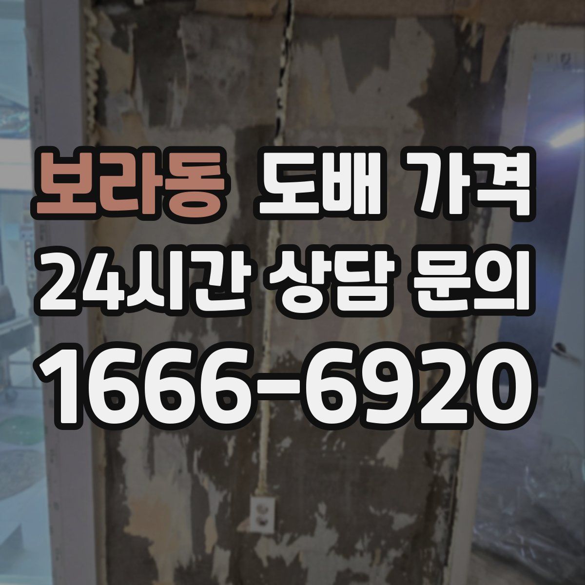보라동 도배 가격