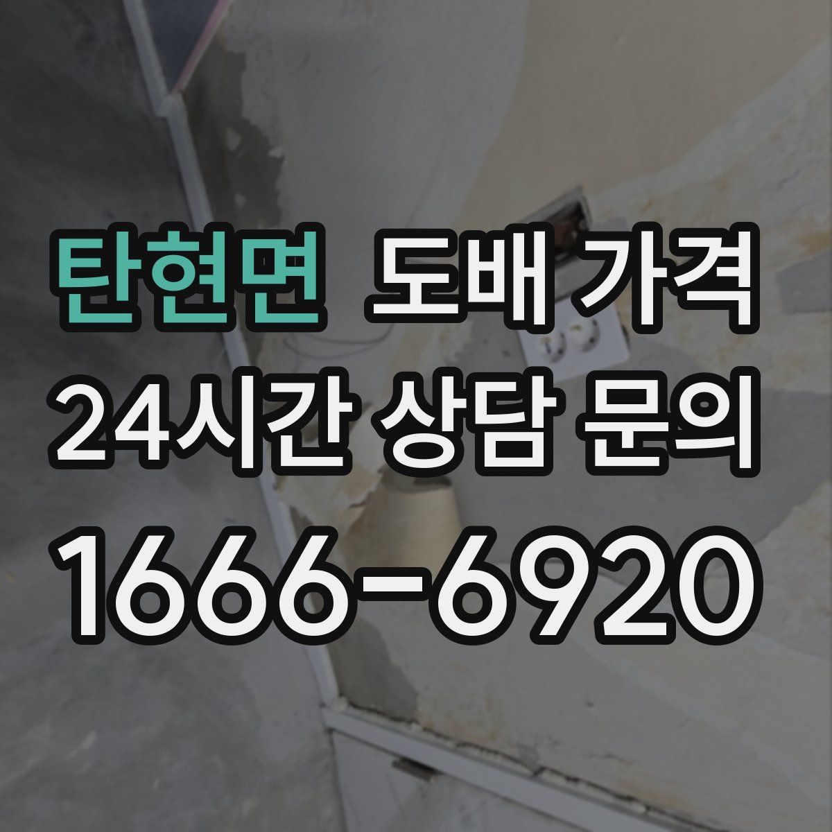 탄현면 도배 가격