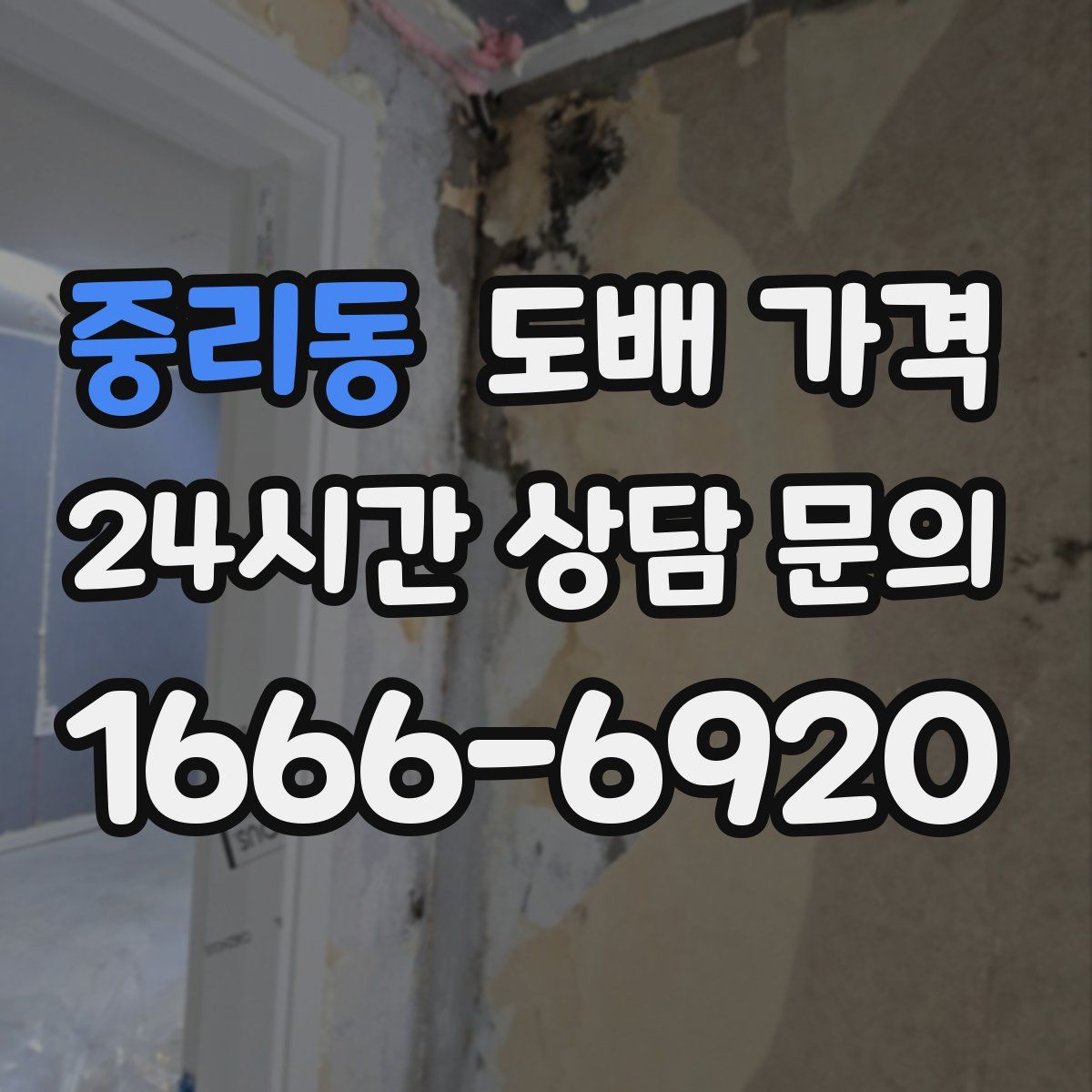 중리동 도배 가격