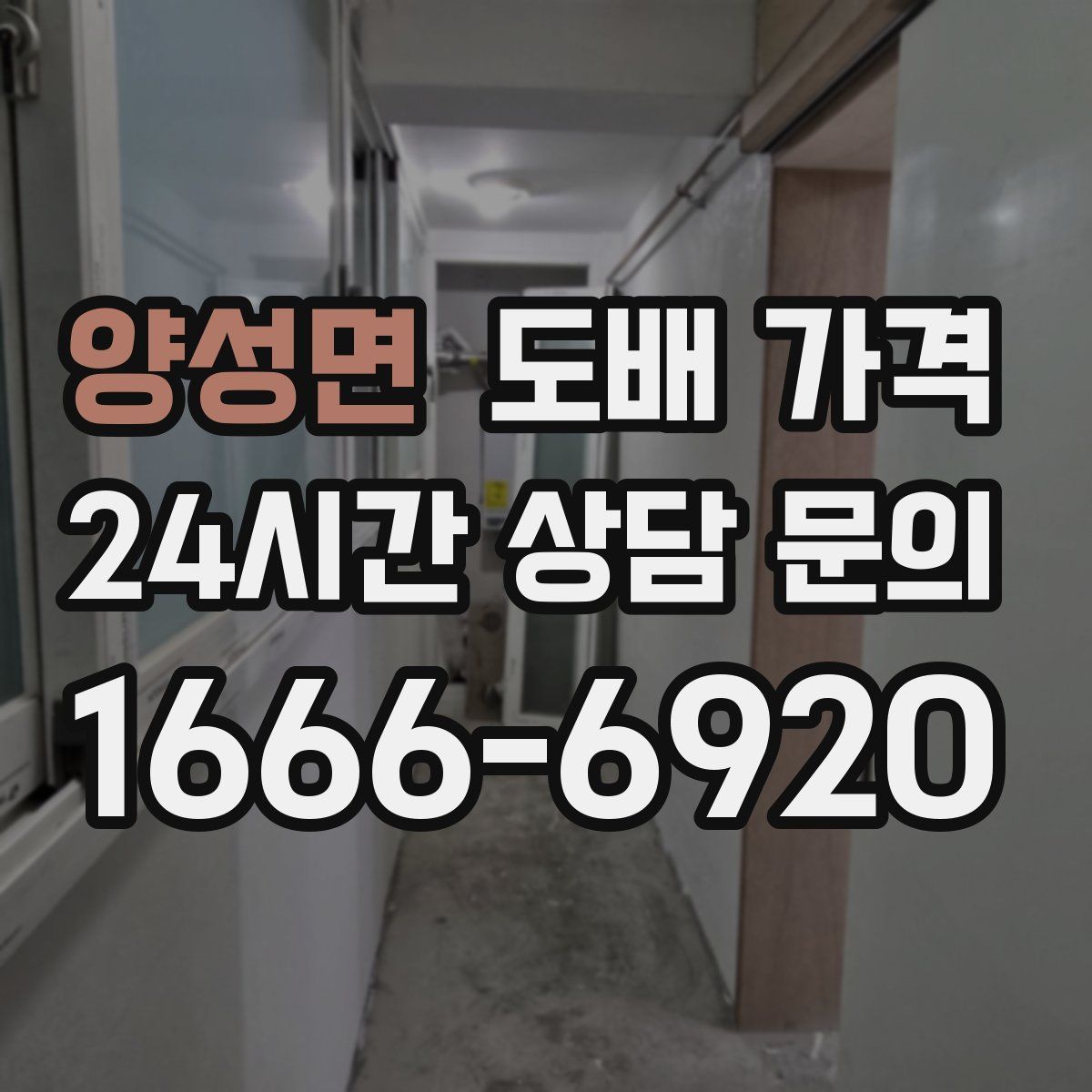양성면 도배 가격