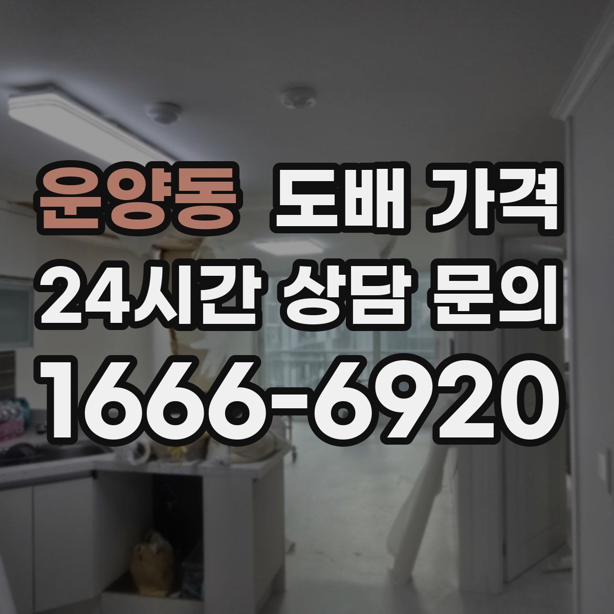 운양동 도배 가격