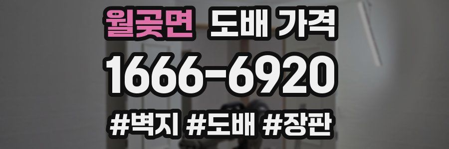 월곶면 도배 가격
