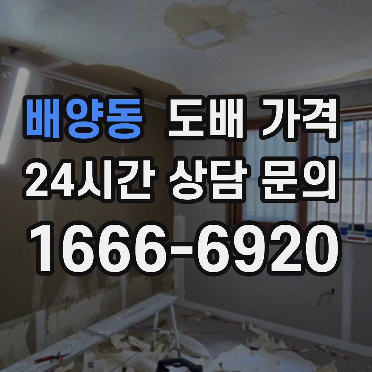 배양동 도배 가격 확인할 때 먼저 보는 항목