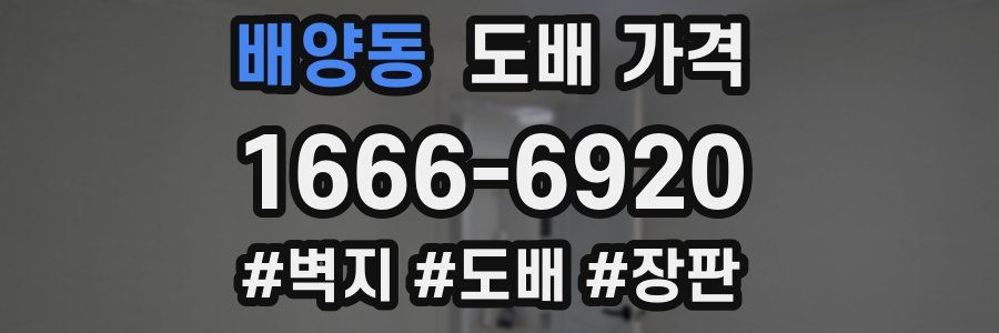 배양동 도배 가격