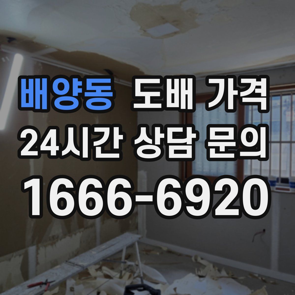 배양동 도배 가격