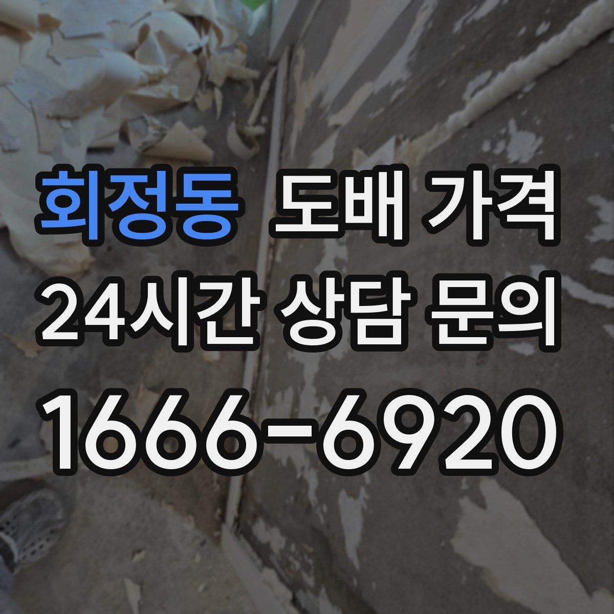 회정동 도배 가격