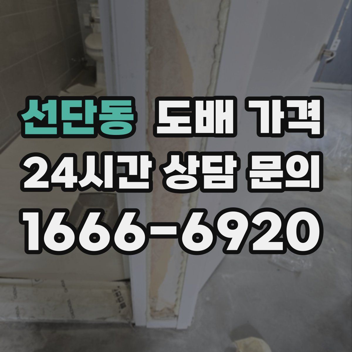 선단동 도배 가격