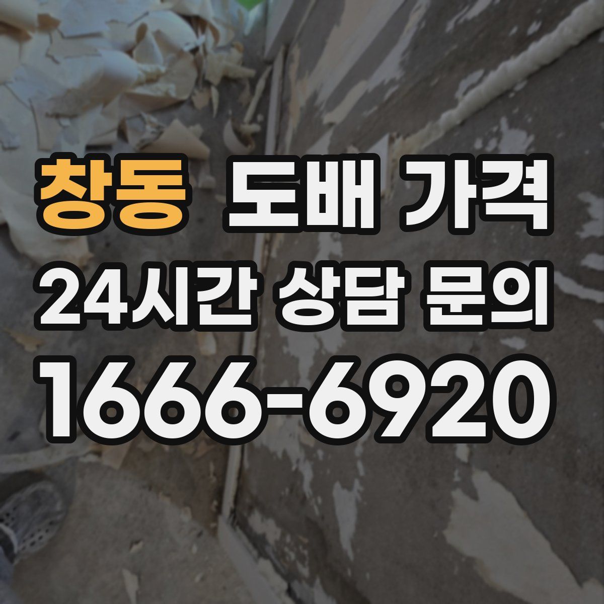 창동 도배 가격