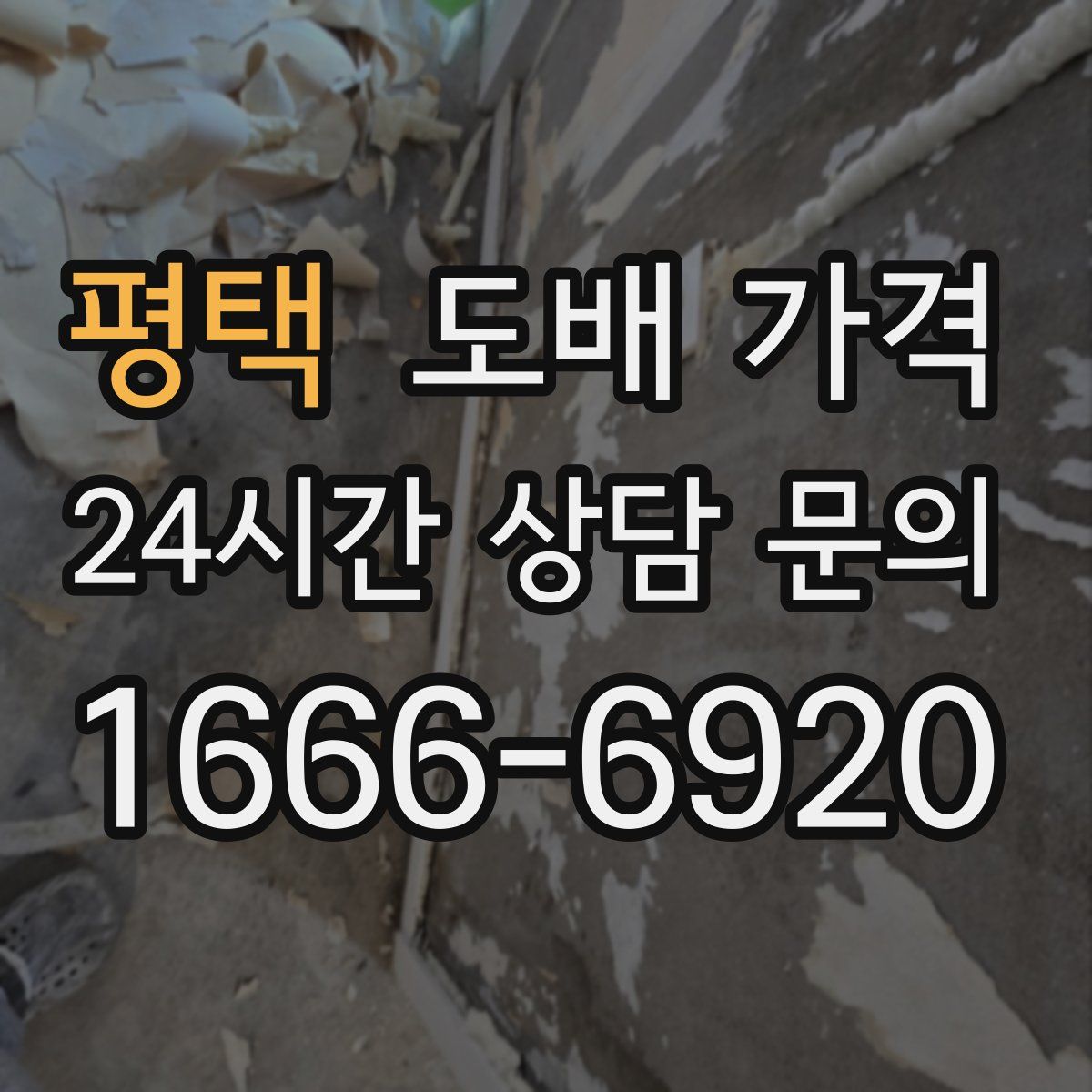 평택 도배 가격