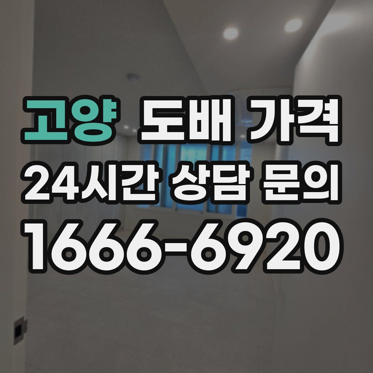 고양 도배 가격