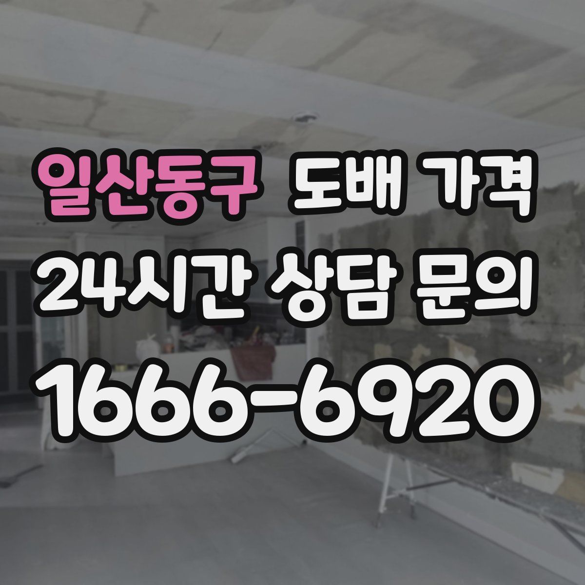 일산동구 도배 가격