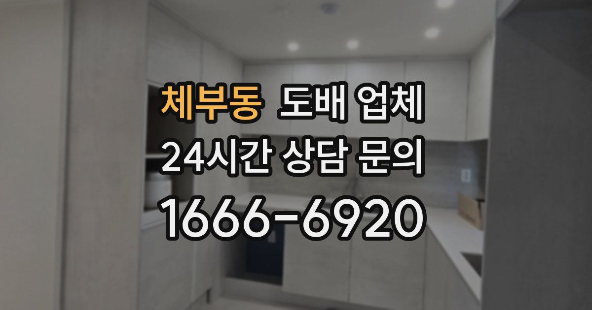 체부동 도배 업체