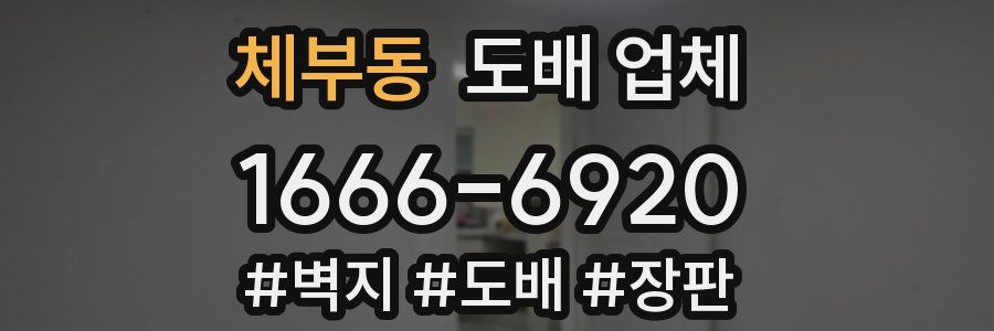 체부동 도배 업체