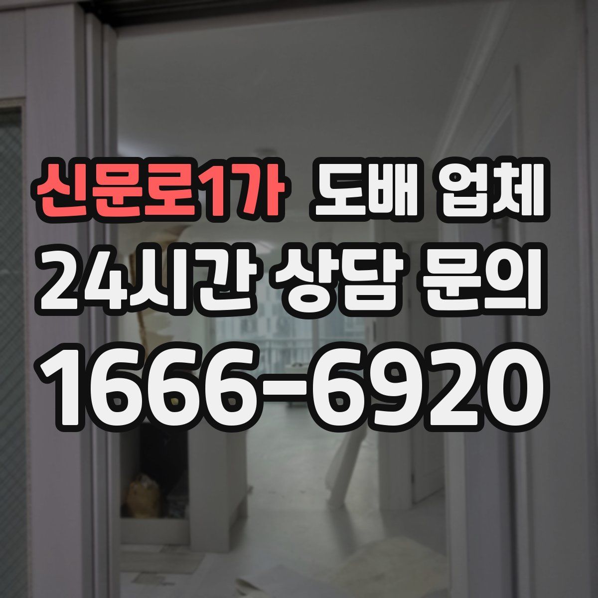 신문로1가 도배 업체