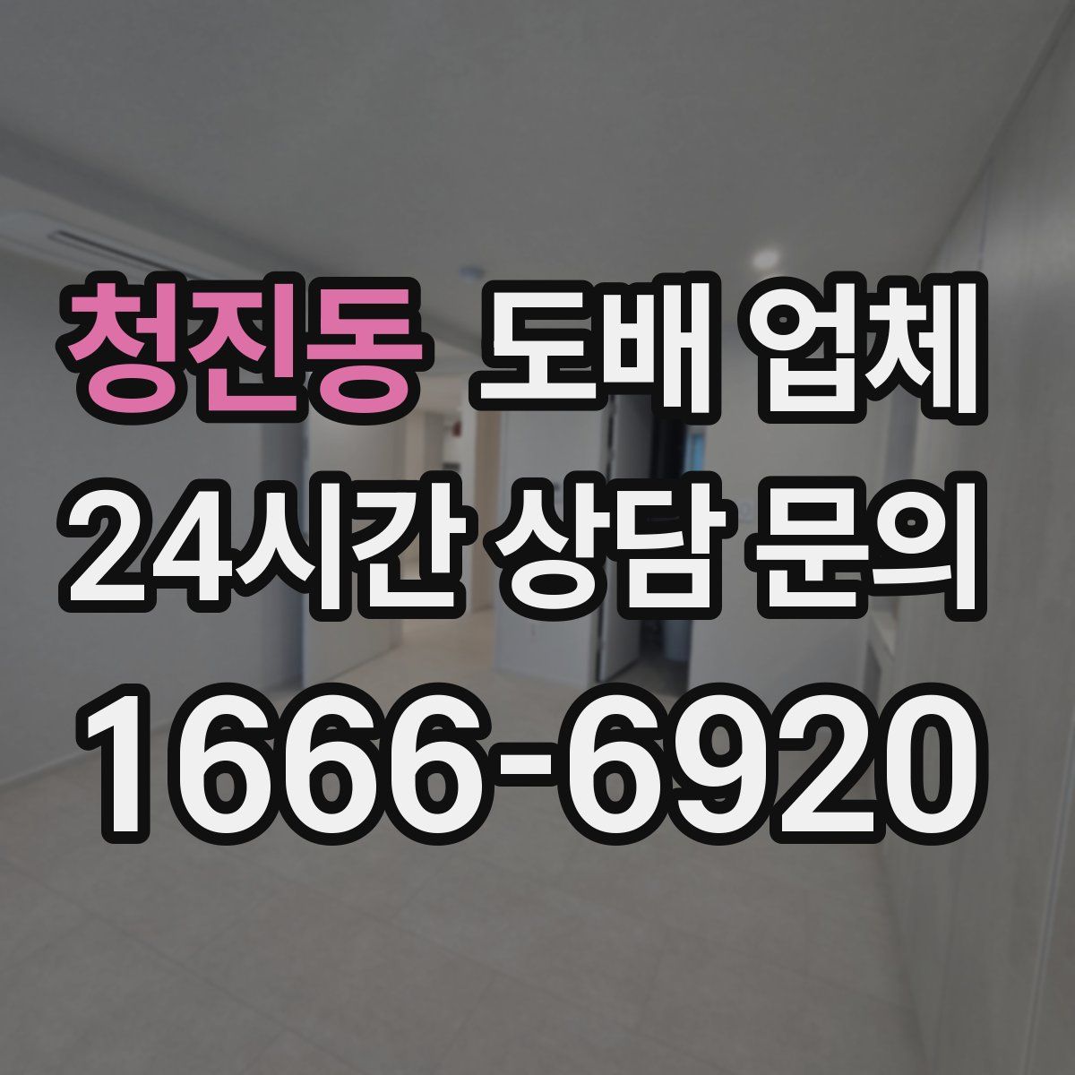 청진동 도배 업체