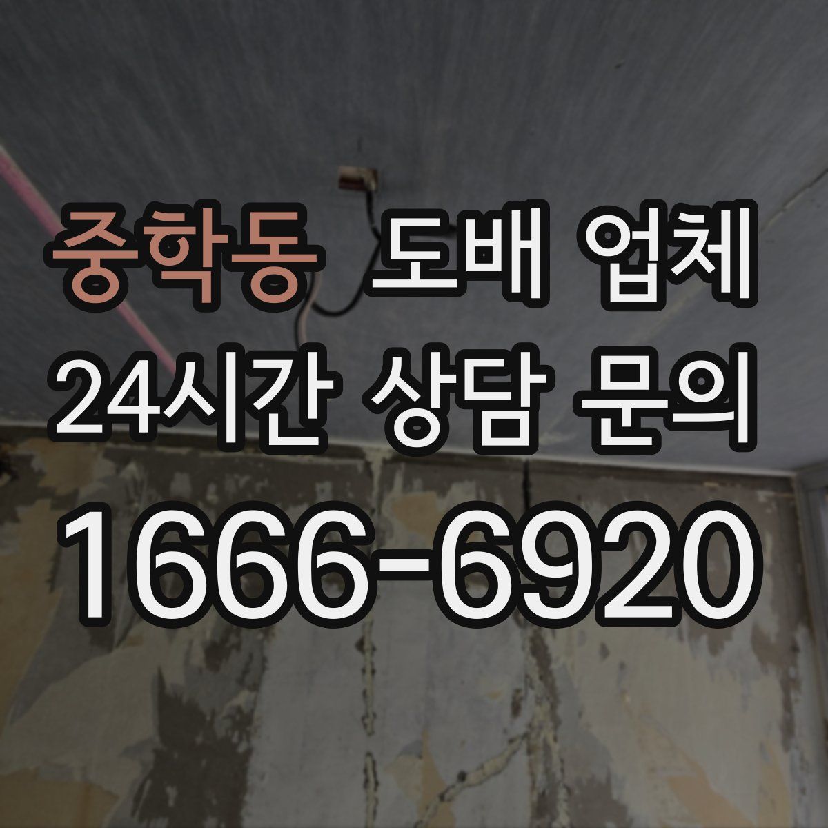 중학동 도배 업체