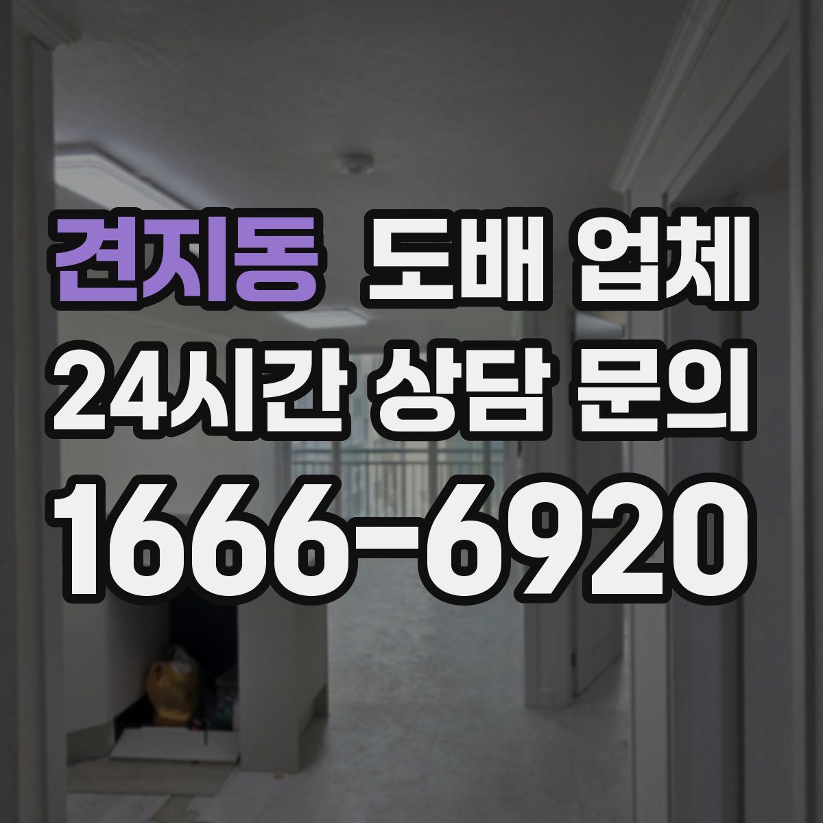 견지동 도배 업체