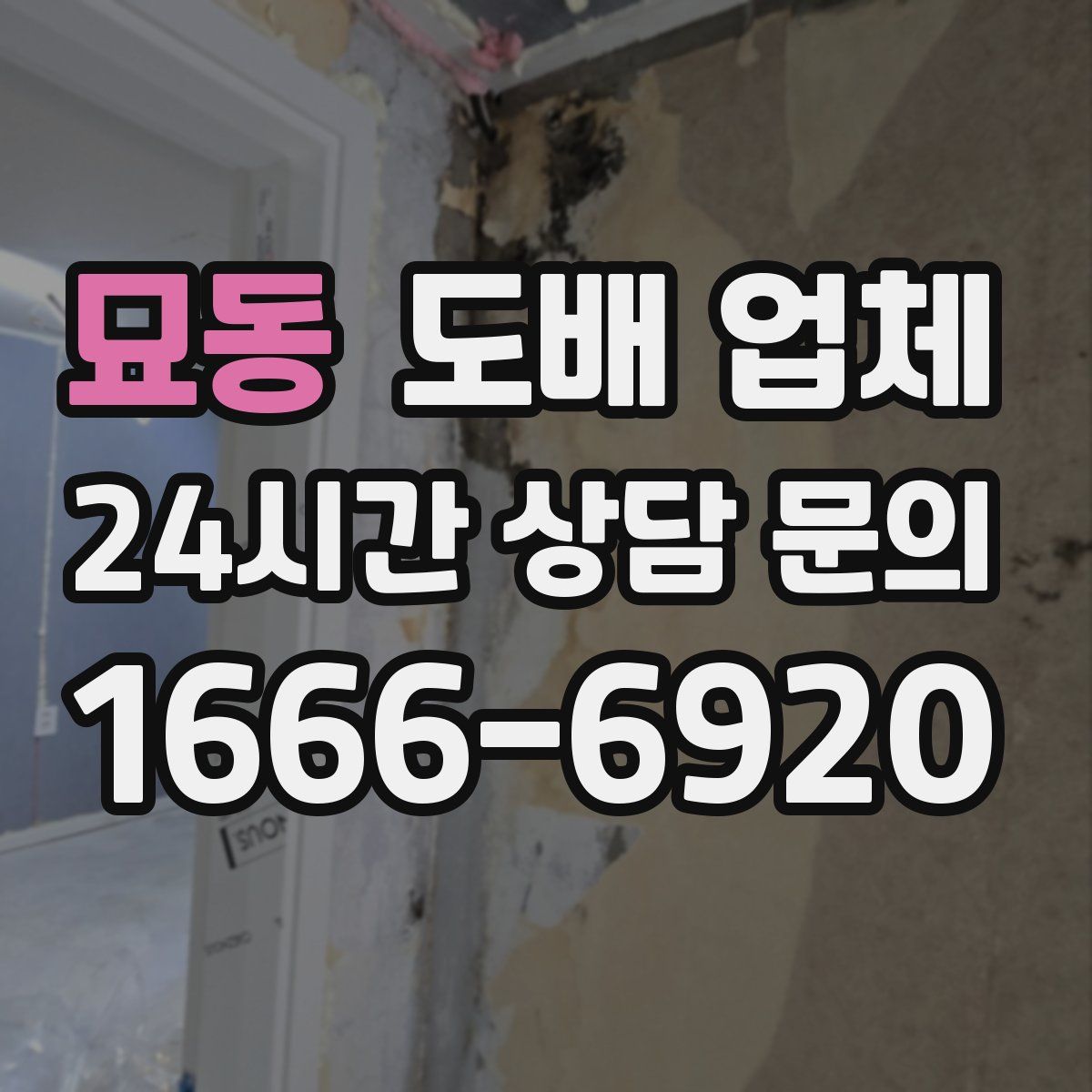 묘동 도배 업체