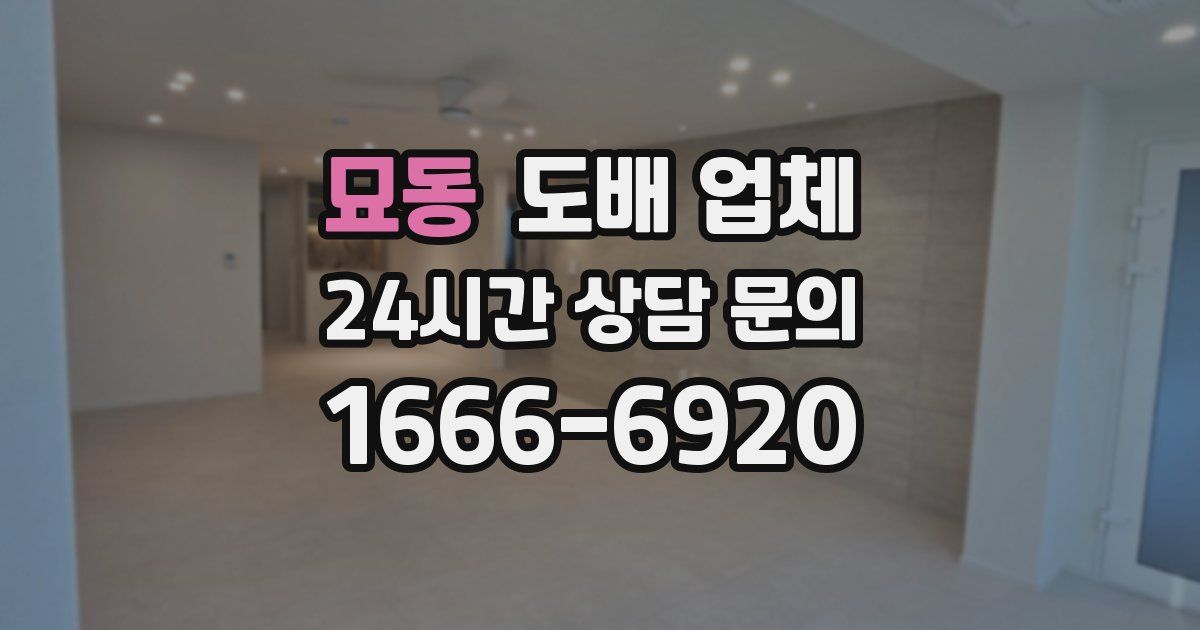묘동 도배 업체